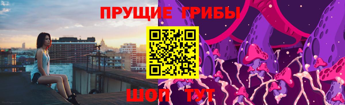 Псилоцибиновые грибы Psilocybe  Псилоцибиновые грибы Psilocybe  Вход с VPN  Ульяновск 